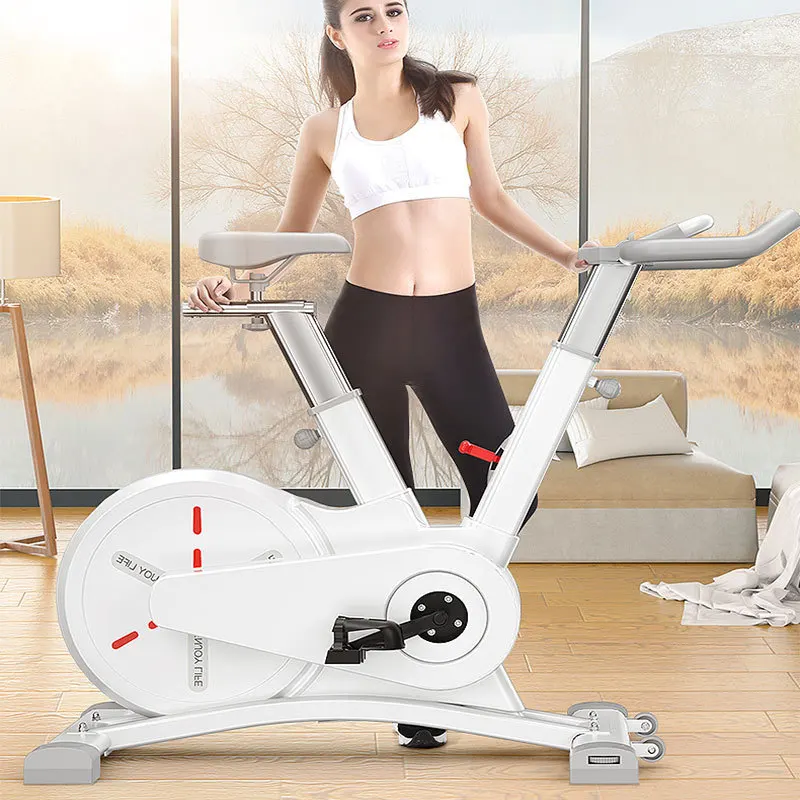 Solid Precision Steel Flywheel, 3D, Real-Life Cycling, Bedroom Gym Dedicated, Intelligent App, Dynamic Bicycle