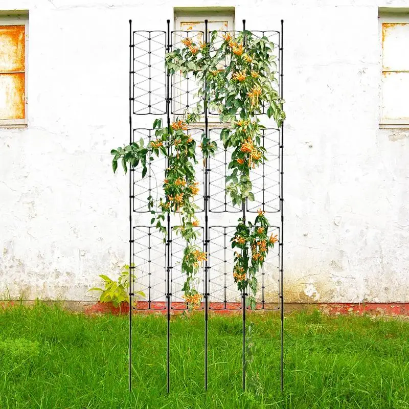 Sturdy Climbing Plant Trellis for Indoor Gardens