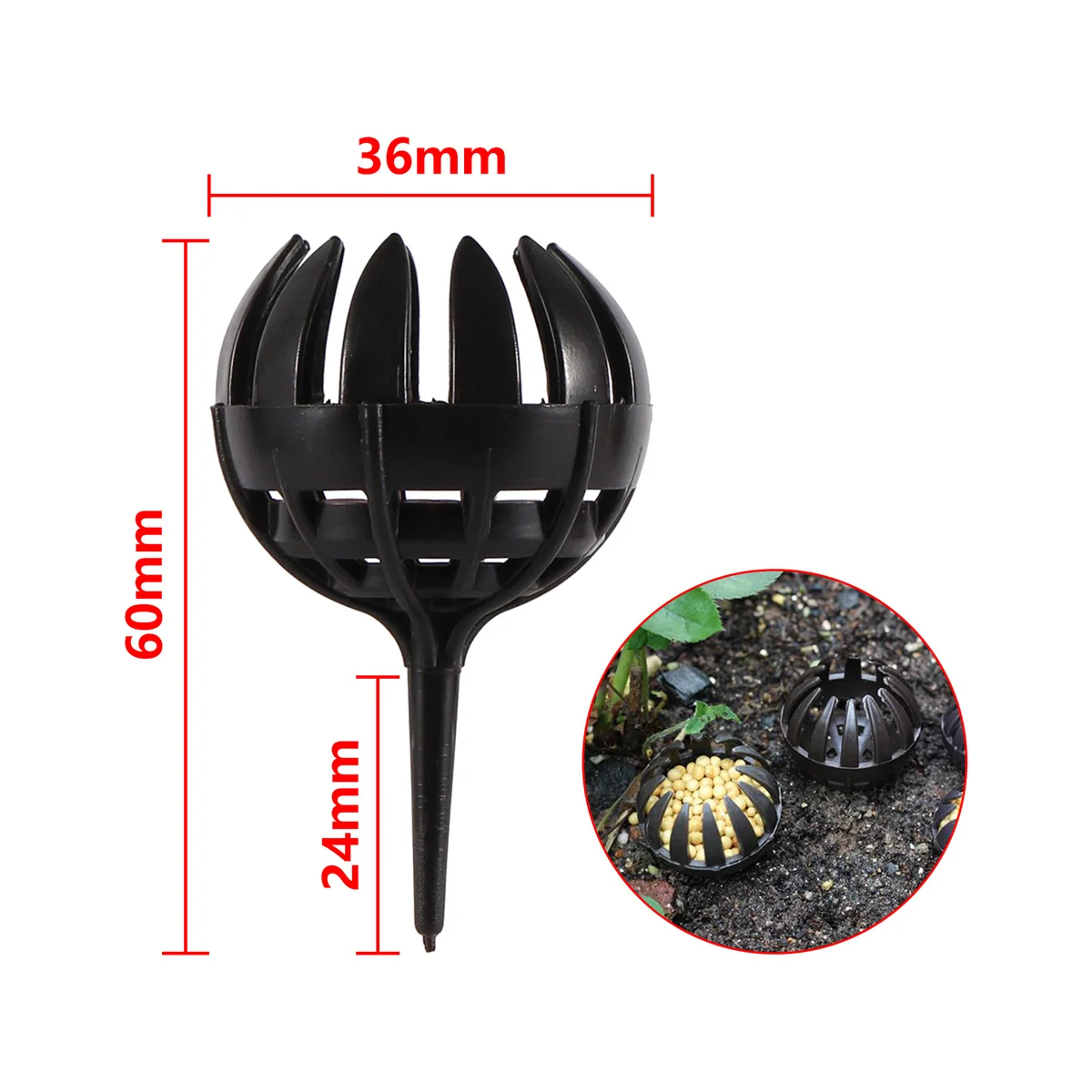 36mm x 60mm