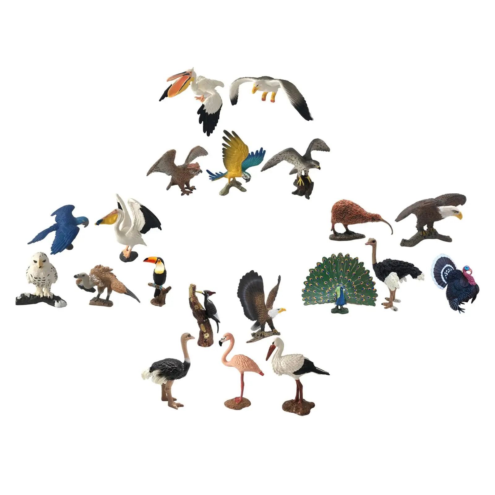 5x Simulation Birds Collection Lifelike Cake Toppers Miniature for Teaching Prop Desktop Ornament Party Favors Boys and Girls