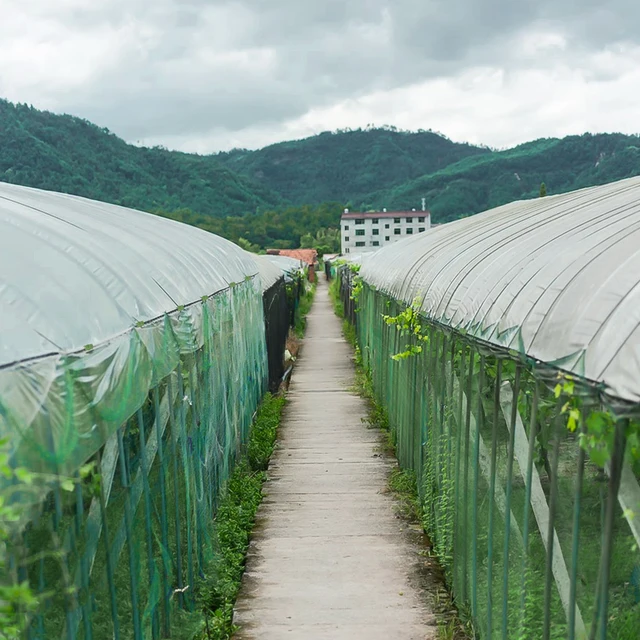 10-15Pcs 4-20 Mm Üvegházhatású Filmklipek Gyors Rögzítő Kerti Tartócső Cső Rúd-Bilincs Épületek Keret Menedékek Napfényháló Bilincsek - Image 6