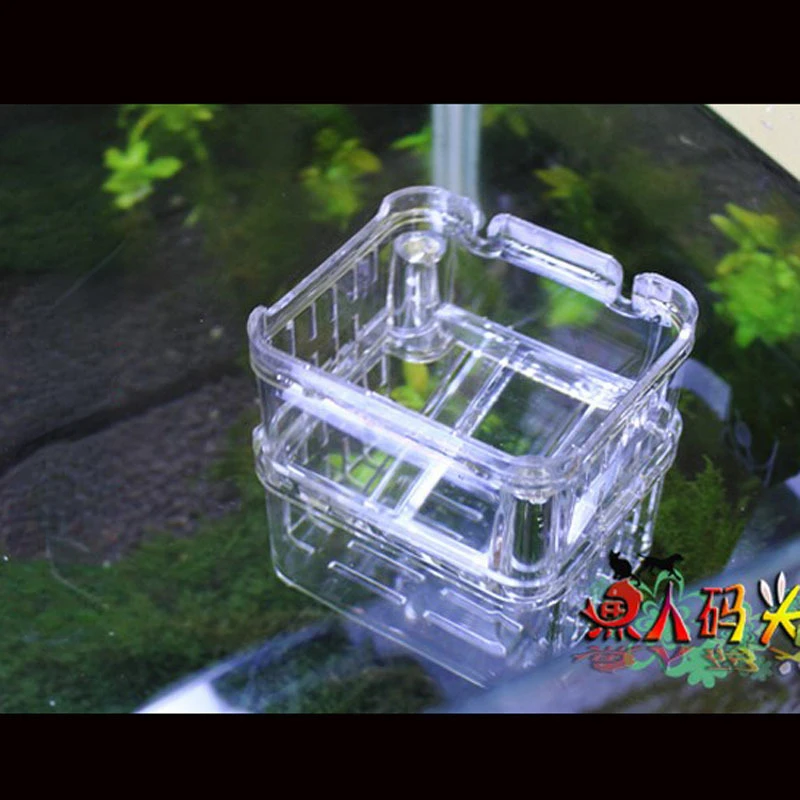 Double-layer transparent fish breeding isolation box aquarium breeder fish tank incubator house household fish aquarium fish breeding box