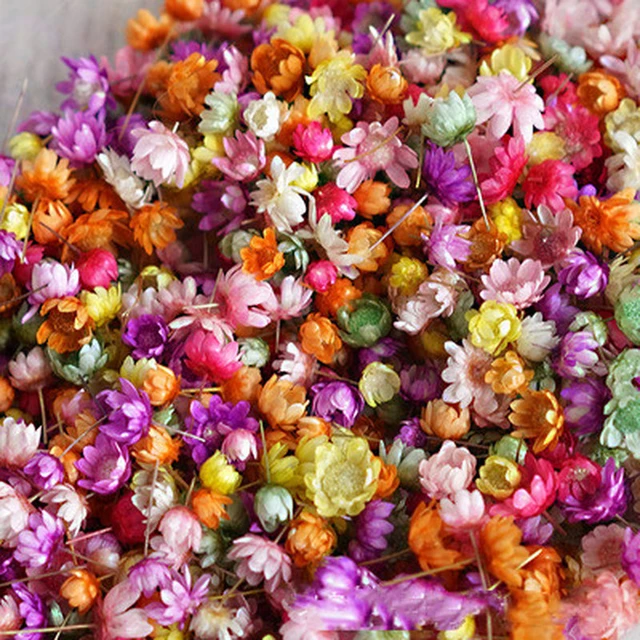 1 Box Colorful Natural Dried Flowers For Epoxy Resin Handmade Crafts DIY  Bouquet Garland Candle Making Home Wedding Decoration - AliExpress