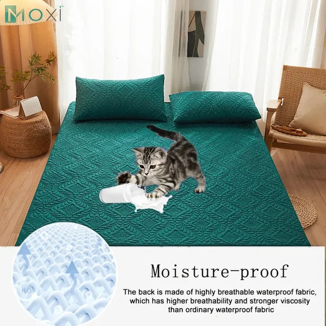 Drap-housse matelassé imperméable 100%, avec bande élastique, housse de protection de matelas douce, double, Queen, King, 160x200cm, décoration de maison 1