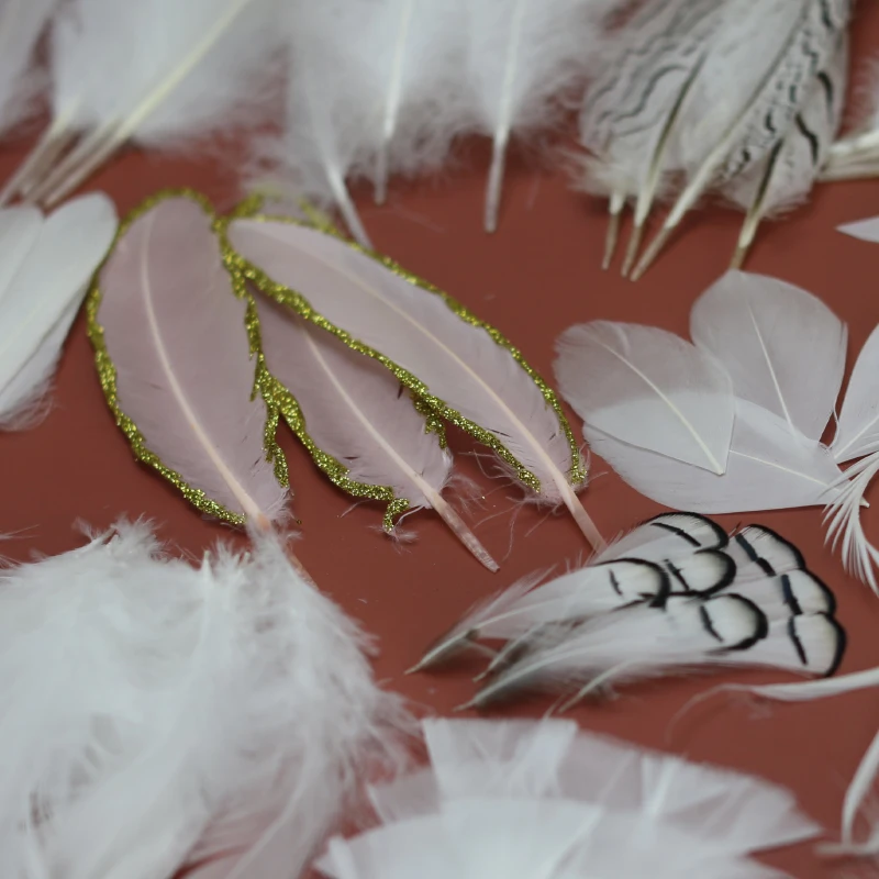 Create idea 12Pcs Cappello Piume Reale Piuma Decorativo Piuma Piuma