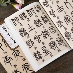 Mastering Seal Script: Chinese Calligraphy Copybook by Deng Shiru (1 set)