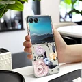 Clear-WQSMT090