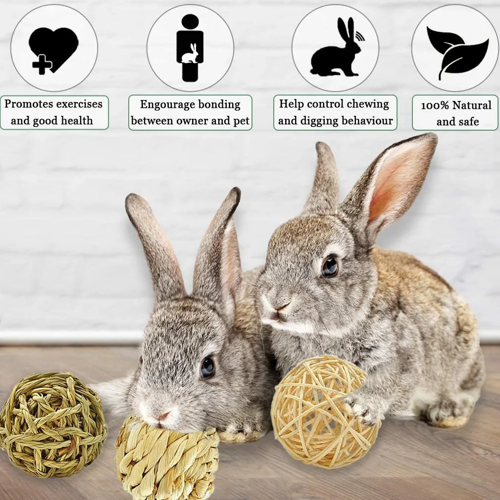 Small Animal Chew Toys 3