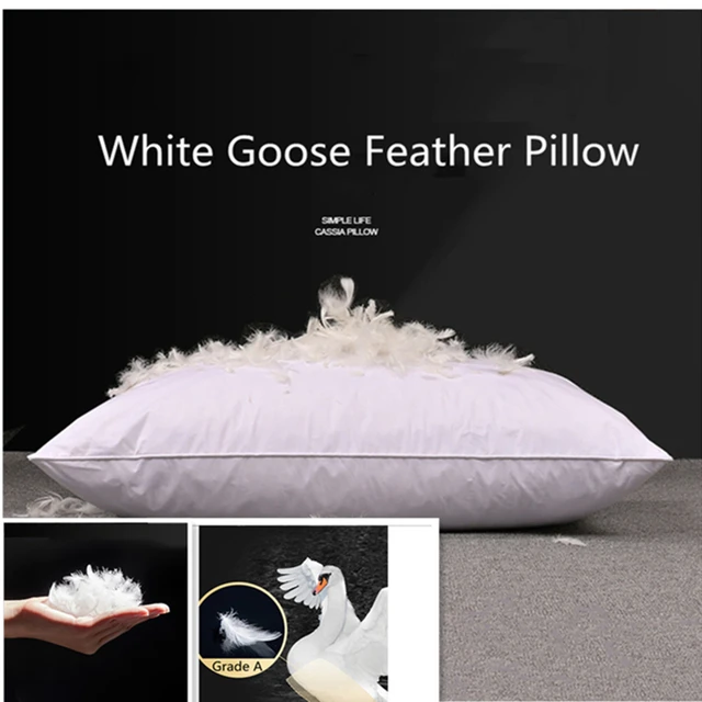 What Is The Difference Between Goose Feather And Down Orders Online