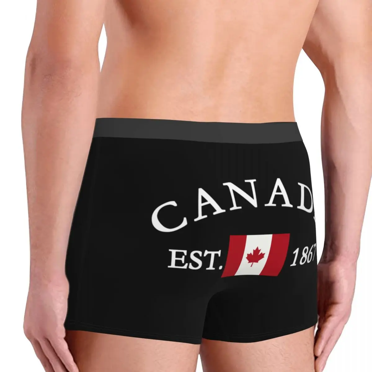 Custom Flag Of Canada Underwear Men Breathbale Patriotism Boxer Briefs Shorts Panties Soft Underpants For Homme 4