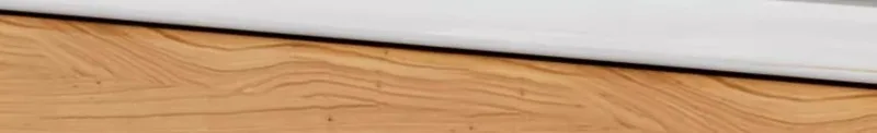 1005006149027765