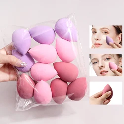Deluxe 12 - Piece Ultra - Soft Makeup Tool Set for Flawless Foundation and Concealer Application (Multicolor)