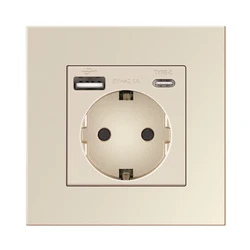 Novski Modern Wall USB Charger with Dual EU Standard Outlets, 110V - 250V, 16A - USB - type c gold
