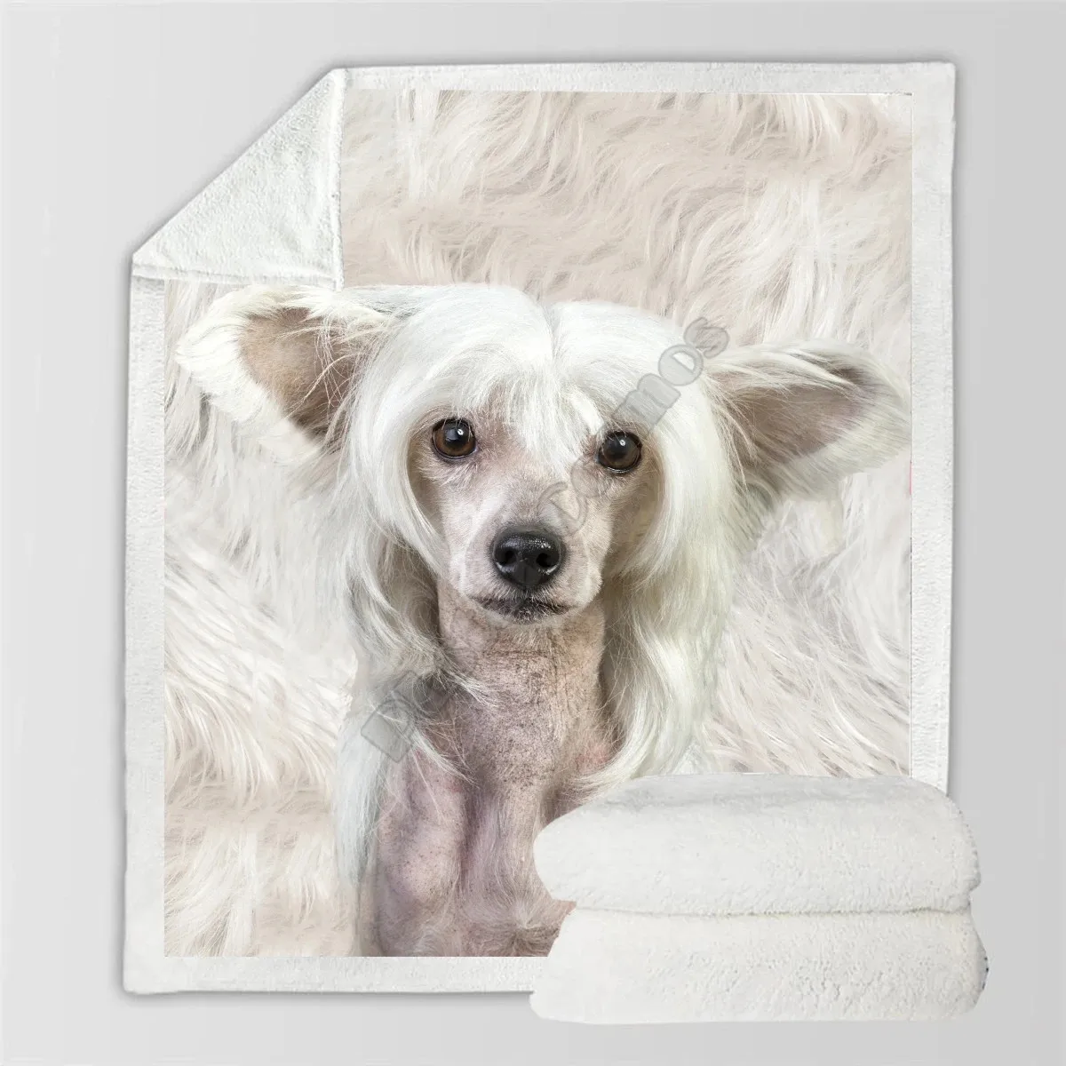 ħ�� Ȩ ������ 3D �μ� �� �θ��� ���� ���, �߱��� ���� �ƴ��� �����̾� ���