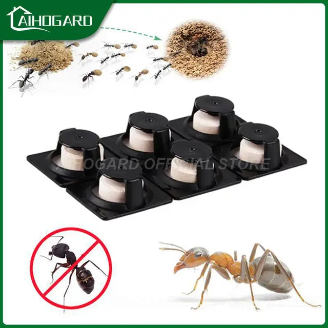 Hangya Ügynök Csali Rovar Kártevő Gyilkos Por Kártevőirtás Pusztítsd El A Hangyák Taszító Társát Csapdát Ölnek Baits Kerti Otthoni Csapda