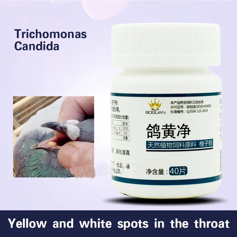 Pigeon Disease Treatment Trichomonas Pigeon Mouth Yellow Net Racing Pigeon Medicine Common Disease Bo Crown Homing with Parrot Bird Special