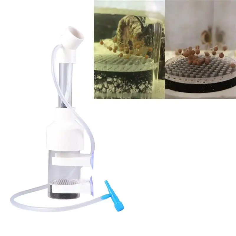 40mm Aquarium Acrylic Egg Incubator Fish Incubator Hatchery Eggs Fish