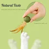 Catnip Balls for Cats: Healthy, Interactive Toys 2