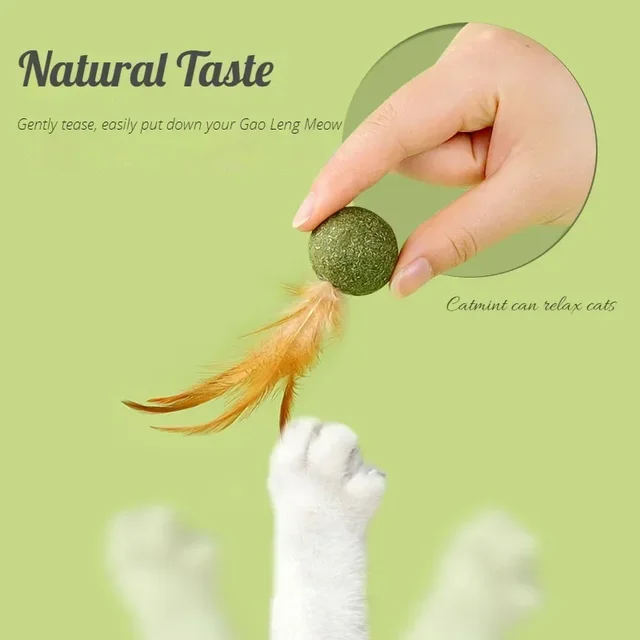 Catnip Toy Cat Mint Ball 2
