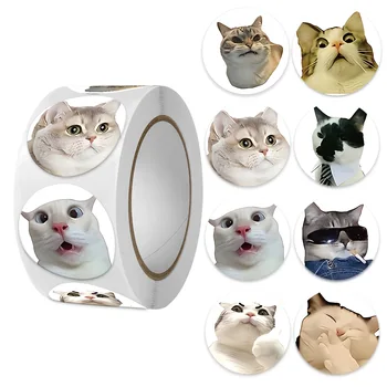 Cartoon Meme Cat Stickers Hashtags: 1