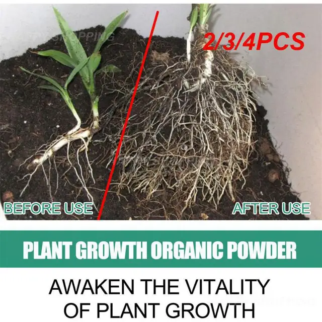 2/3/4Pc A Növény Növekedése Elősegíti Klorofill Aminosav -Műtrágya És Más Természetes Összetevők Szintézisét