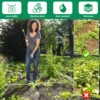 Hoe Gardening Tool 1.2/1.6m Stainless Steel Sharp Stirrup Ring Hoe with Triangle Head Gardening Loose Soil Weeding and Loosening 2