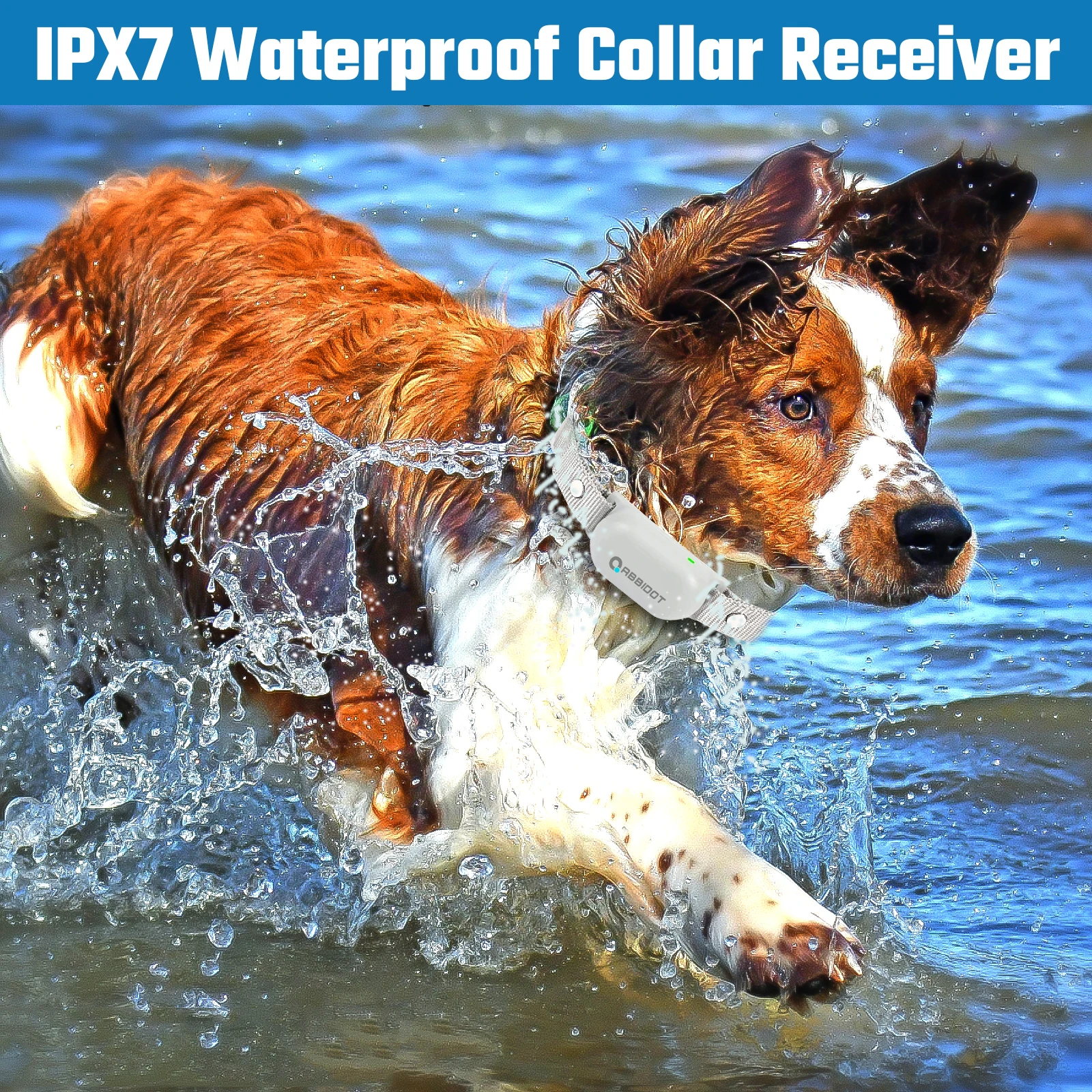 Can A Dog Shock Collar Get Wet