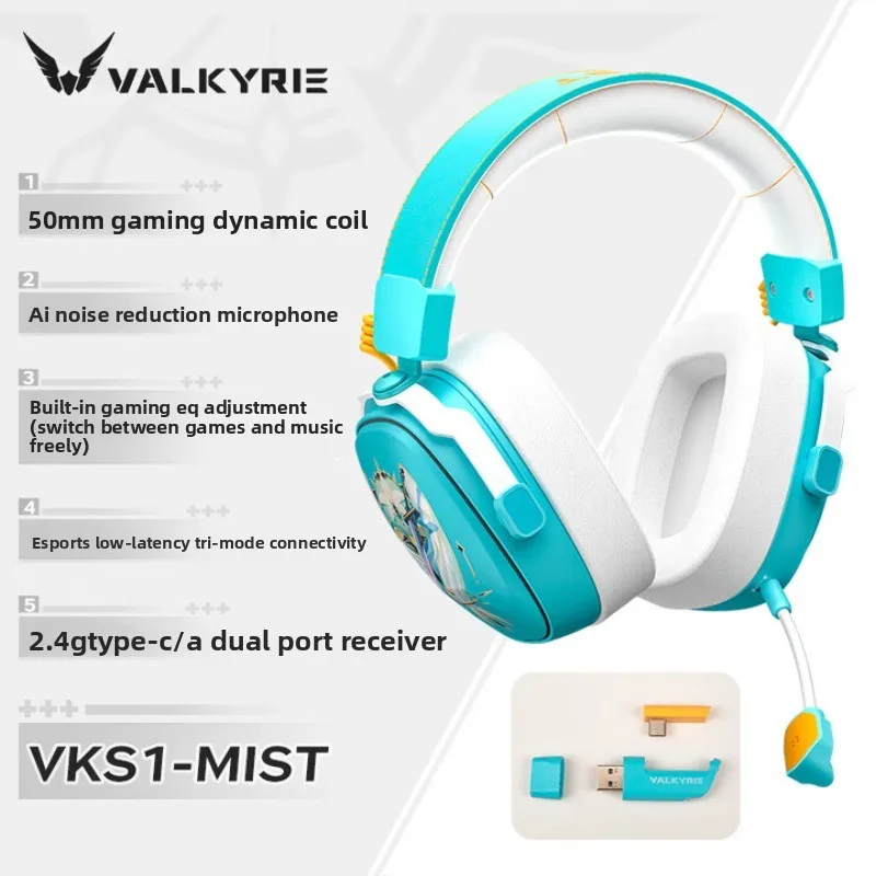 VK S1-MIST