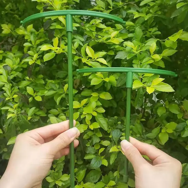 Növényi Tét És Támaszkodik A Zöld Szárú Virág Félkerekes Támogatáshoz, Nem Könnyű Rozsdásodni Kellékek Használatával