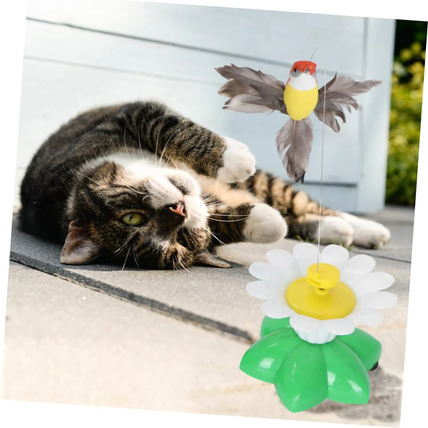 2pcs Toys Cat Toyd Teaser Wand Toy Cat Electronic Teaser Toy Electronic Kitten Chew Refill Soaring Bird