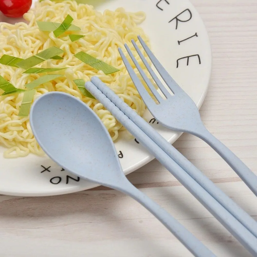 Plastic Cutlery Set Simplicity With Storage Box Fork And Chopsticks Set