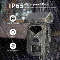 1080P Camera IP65 2.0in Wildlife Camera with 0.45S  Time for Outdoor Camera outdoor camera hunting camera wildlife camera 1
