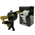 Black Cat With Box