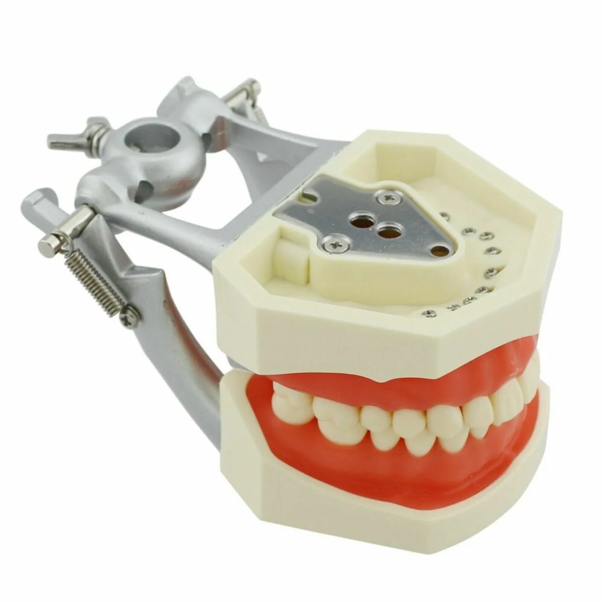 Зубной монтажный столб-для kilгор, Колумбия, Nissin и т. д. типонты/дентоформеры