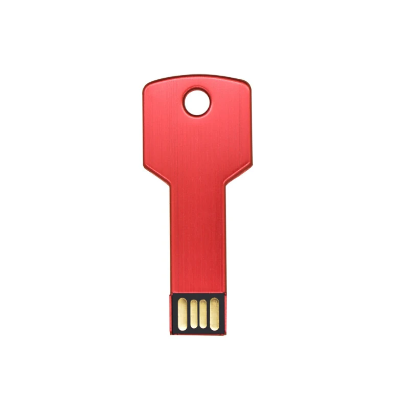 Рисунок 5 - USB-флеш-накопитель