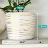9 Inch Ceramic Plant Pot - Matte White with Gold Stripes - Drainage Plug Included 2