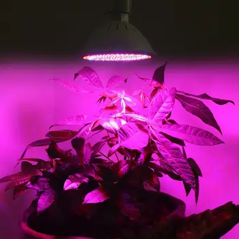 LED SMD 24W Grow Light LED Grow Light E27 Phyto Lamp for Plants Plant Lamp Indoor Plant Lamp for Flowers Plants Vegetables tanie i dobre opinie alloet CN (pochodzenie) 92mm Z tworzywa sztucznego 85-265 v