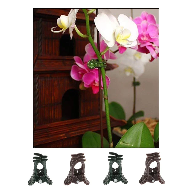 100Db Szőlőjavító Klipek Műanyag Barna Zöld Növény Hegymászás Virág Szár 1,9*1,6 Cm -Es Kötött Ágra Rögzített Tartály Kerti Ellátás - Image 2