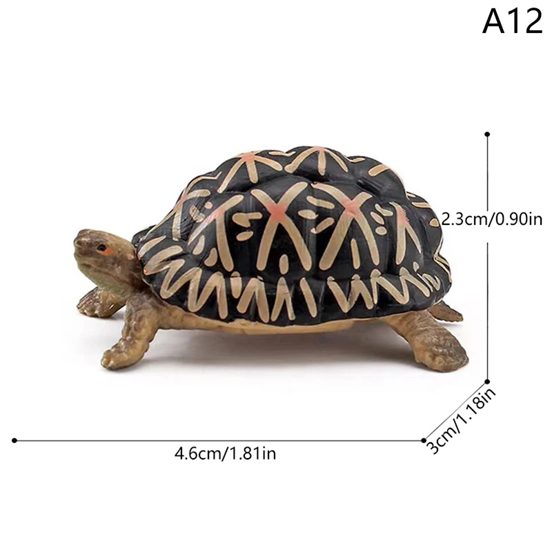 Realistic Turtle Action Figure - Kids Animal Figurines Miniature Toys Gift Ornament
