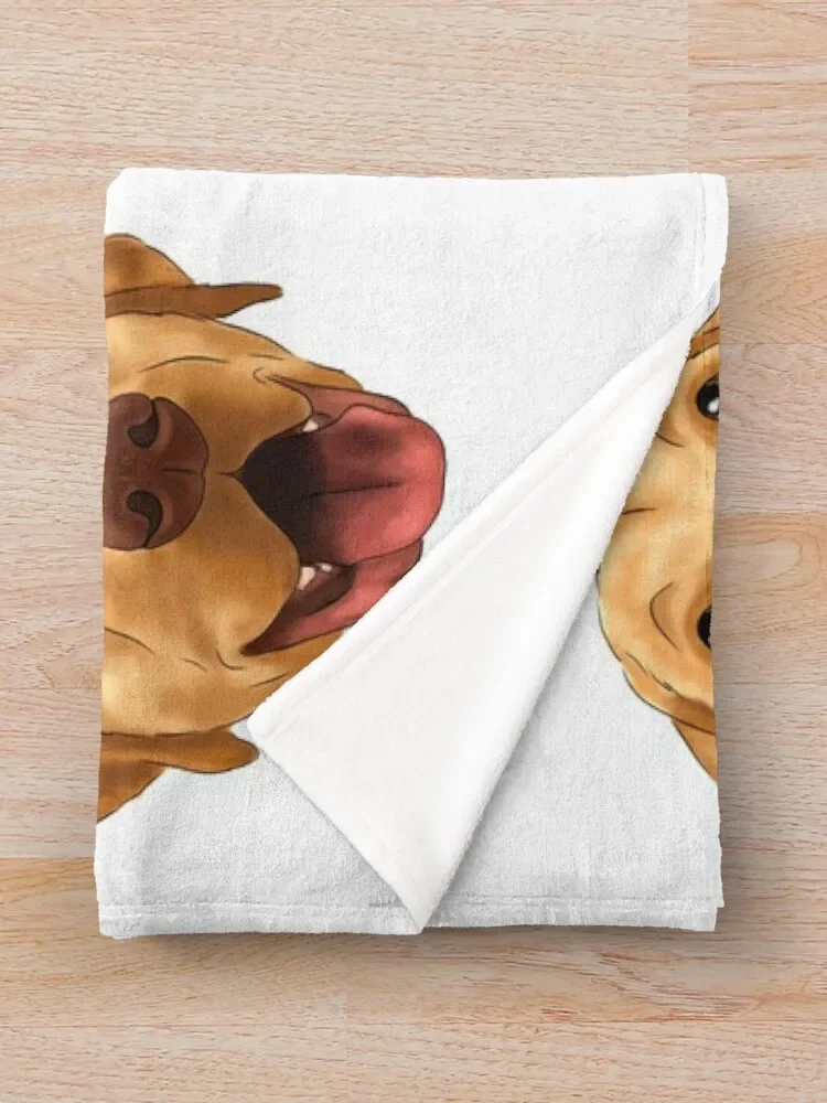 ���ο� �� �ʻ�ȭ ������ ���, ������ ���� �̺�, �ʴ��� ������ ���