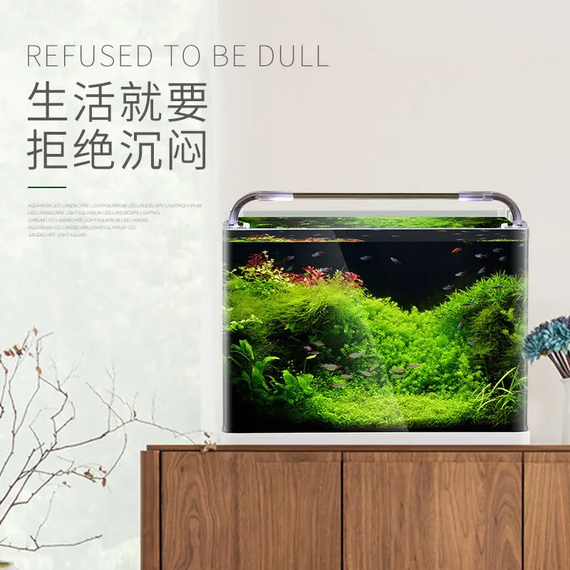 

Desktop Hot Bending Ultra-White Fish Tank Ecological Small Aquarium Aquatic Weed Landscaping Tank Direct Sales One-Click Deliver