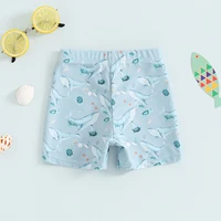 Toddler Boys Elastic Drawstring Board Shorts Summer Swim Trunks Dinosaur/Plaid/Turtle Print Swimwear Beach Shorts Bathing Suit 3
