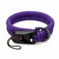 Violet Purple