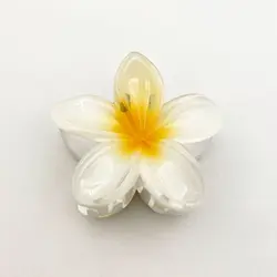 Tropical Flower Hair Clips - Bohemian Beach Hairpins (1)