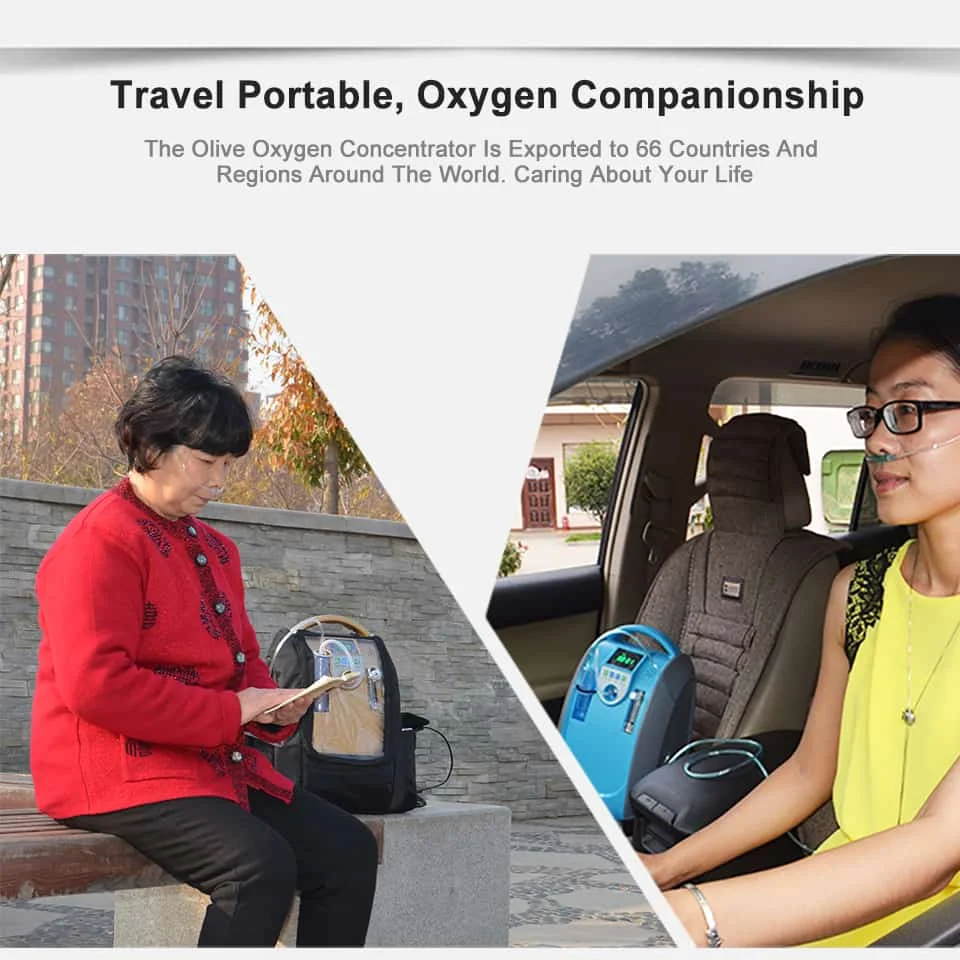 Portable Oxygen Concentrator Househoud Generator Mechanism 24 hours Continuous Oxygen for outside