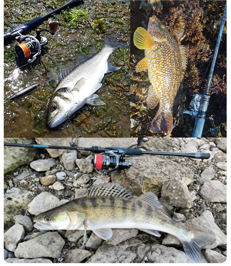 PURELURE LUBINA Pro Spinnrute für Bass, lange Wurfangelrute aus Kohlefaser mit FUJI-Zubehör, plus Spinnrolle – Detail 12