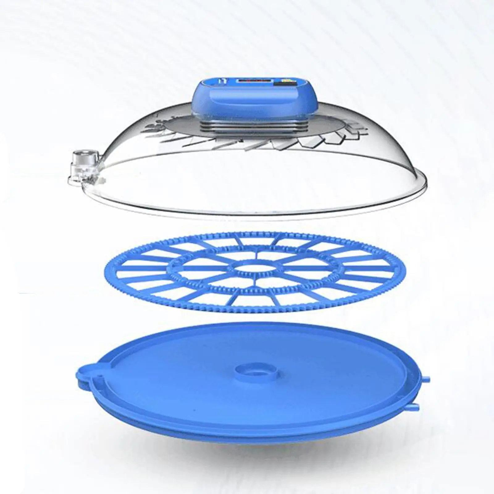  ȭ ڵ  , ݷ ȭ, ߶ ѱ     ȭ