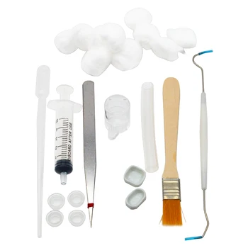 Ant Farm Starter Toolkit 1
