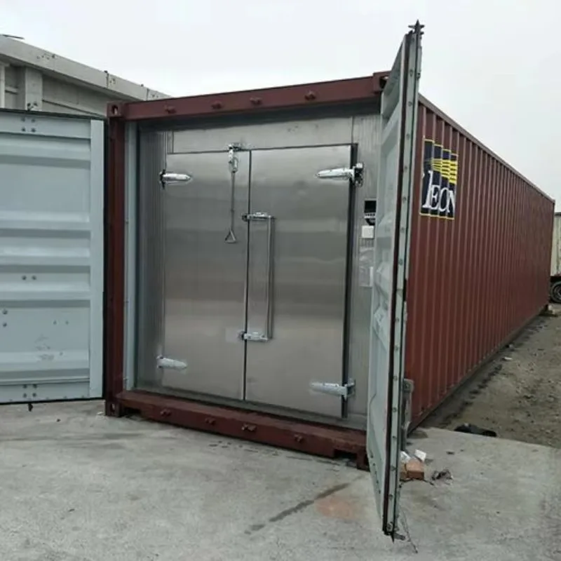 Solar Powered Mobile Cold Room 20ft Container Freezer Off Grid Walk in Storage for Meat Vegetable Fruit Customized Cold Storage 3
