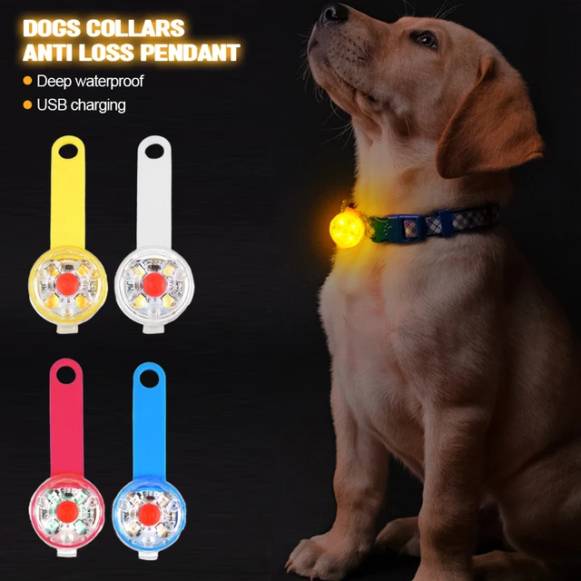 Perro Gato Collar de PET de 6 equipos de luz LED impermeable, collar de  perro de